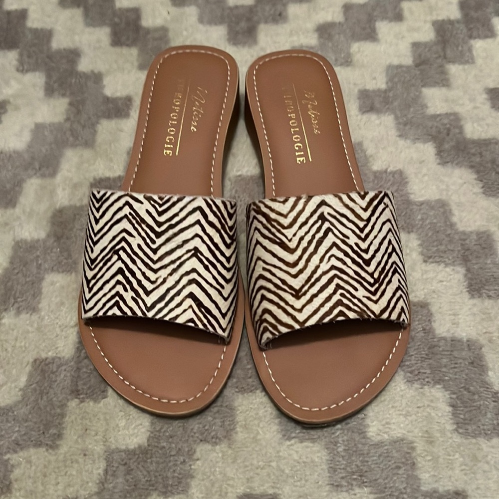 Matisse / Anthropologie slides